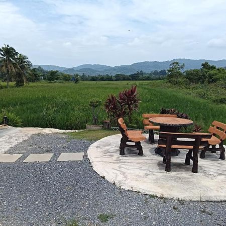 Damai D Homestay Kangar Exteriör bild